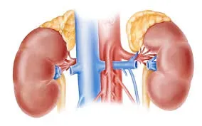 Adrenal Gland Treatment in Pune service image