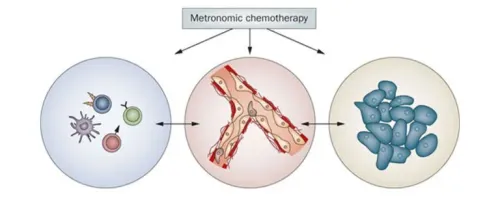 Metronomic Therapy product image