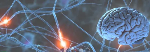 Brain Condition service image