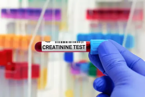 Serum CREATININE service image