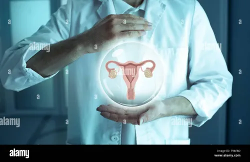INFERTILITY TESTING AND TREATMENT service image