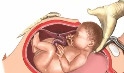 OBSTETRICS service image
