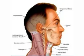 Head & Neck Cancer Surgery service image