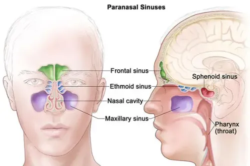 Sinus Surgery service image