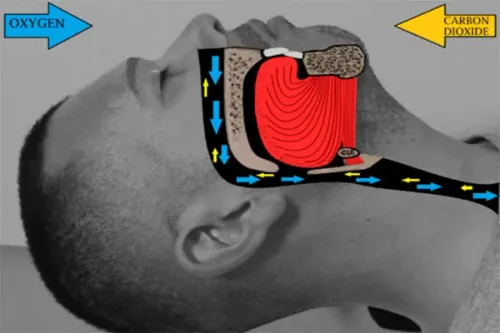 Snoring service image