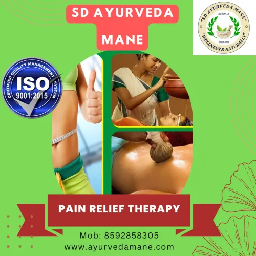 Ayurvedic Pain Relief Therapy service image