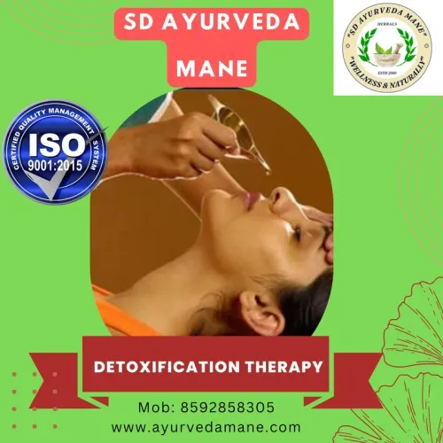 Detoxification Therapy service image