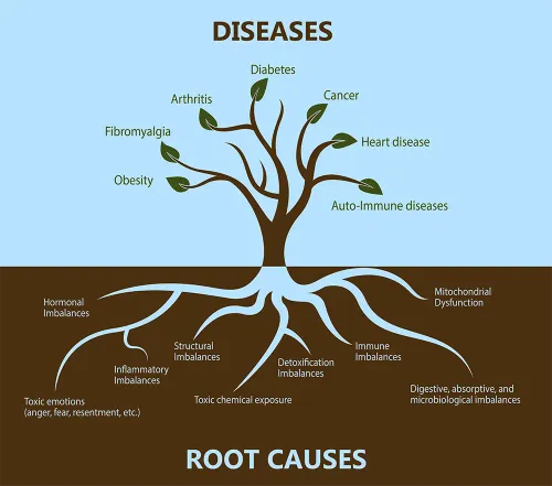 functional medicine service image