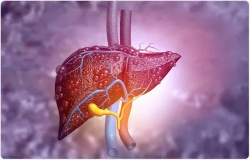 Liver Cancer Specialist in Pune, PCMC, Maharashtra  service image