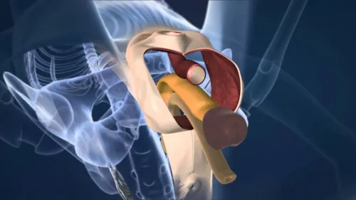 Voice Change Surgery (Male to Female & Female to Male) service image