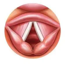 Cosmetic Voice Surgery (Thyroplasty) service image