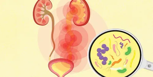 STD and Gynaecology infections management service image