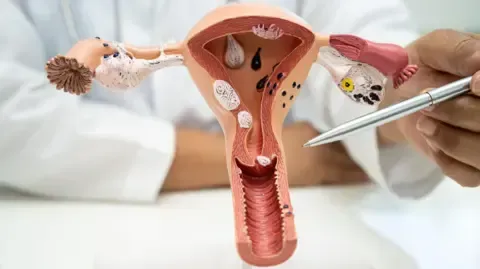 Gynecological cancer screening and vaccinations services service image