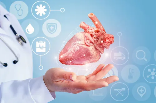 Cardiology & Echocardiography service image