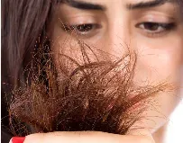 Damaged Hair Treatment In Coimbatore service image