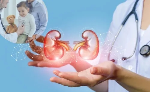 Pediatric Nephrology service image