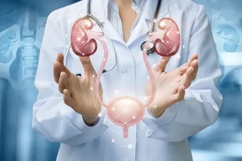 Urology service image