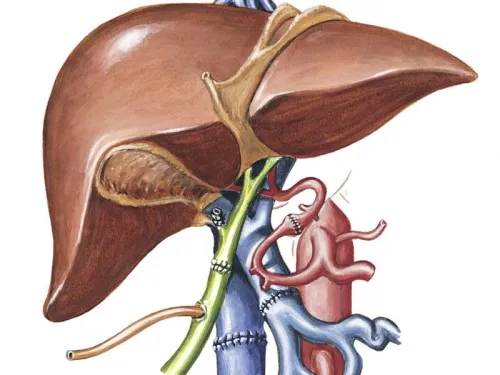 Best Liver Transplant Doctor Near Me service image