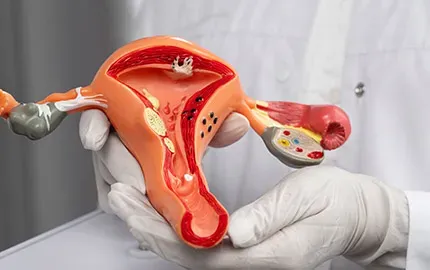Gynaecology Obstretics & Reproductive Medicine  service image