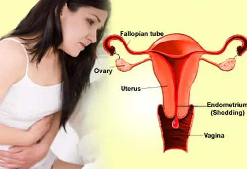 Female Fertility Services service image