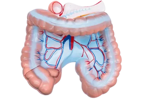 Retroperitoneal Sarcomas Treatment in Mumbai service image