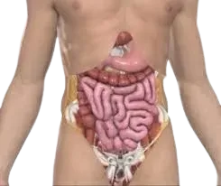 Cytoreduction Surgery CRS in Mumbai service image
