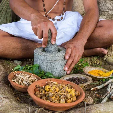 Ayurvedic Doctor service image