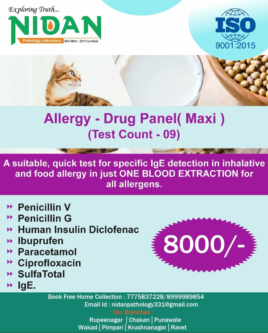 A51➡️ALLERGY-DRUG PANEL(MAXI)