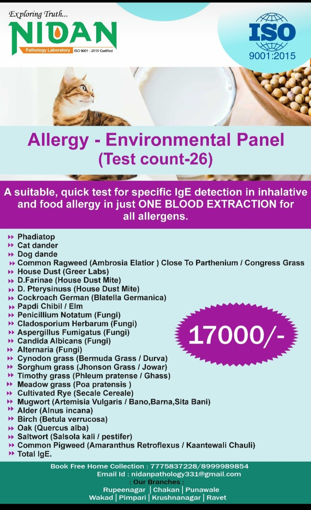 A65➡️ALLERGY ENVIRONMENTAL PANEL