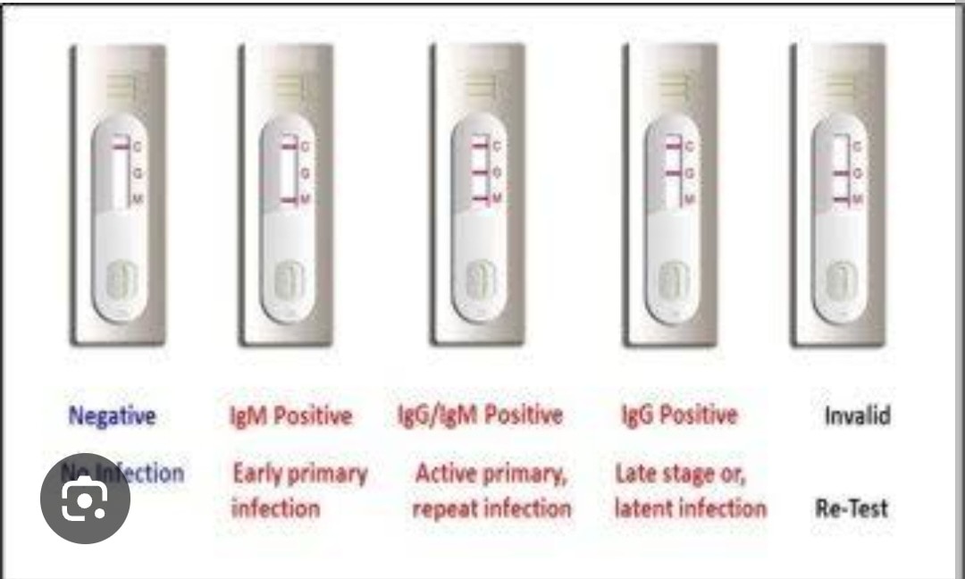 A92➡️Typhi Dot Igg Igm