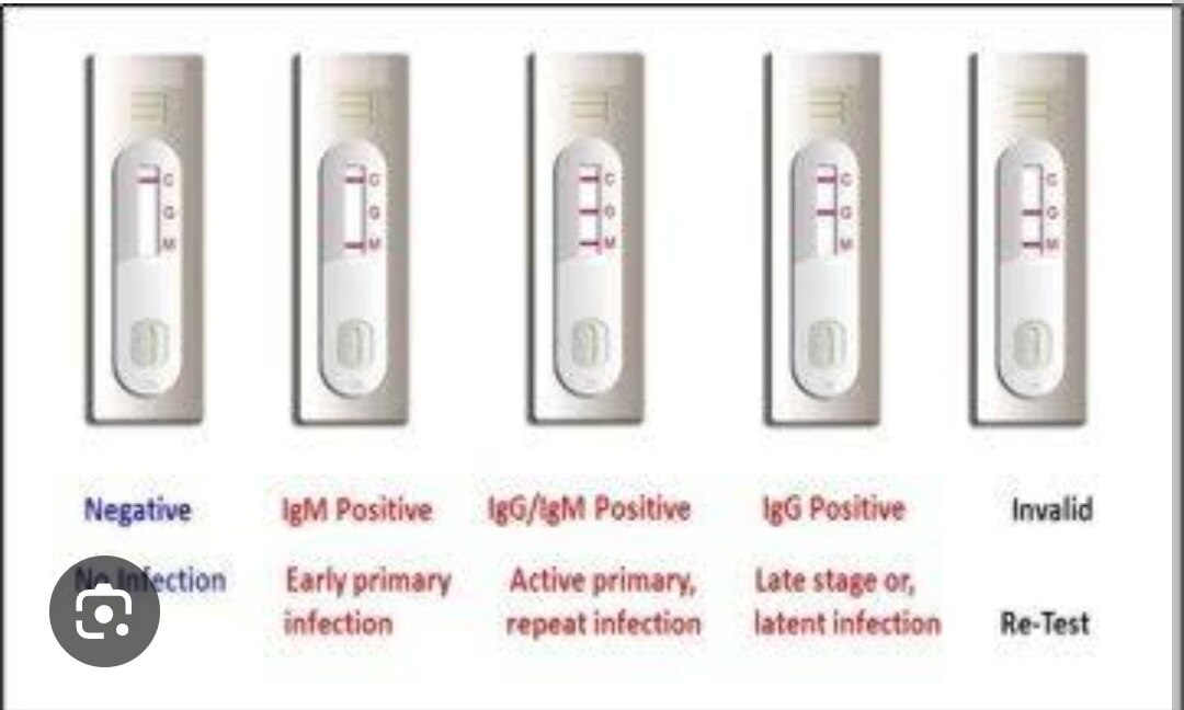 A93➡️Typhi Dot Igm