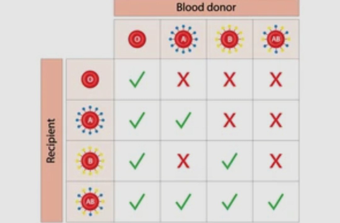 A134➡️Blood group