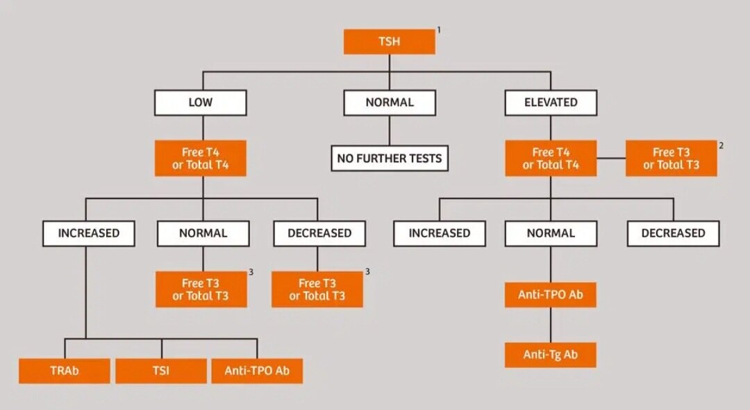 A137➡️AMA Test (ANTI MICROSOMAL ANTIBODY)thyroid peroxidase (Anti TPO)