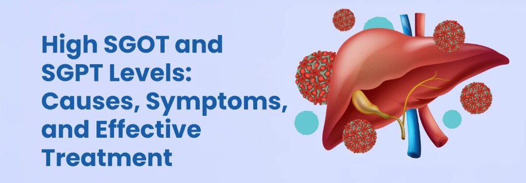 A146➡️SGPT Alanine Aminotransferase (ALT)