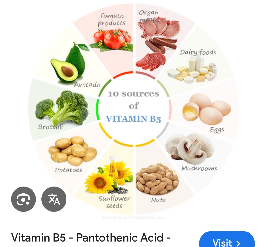 A182➡️Vitamin B5 (Pantothenic Acid)