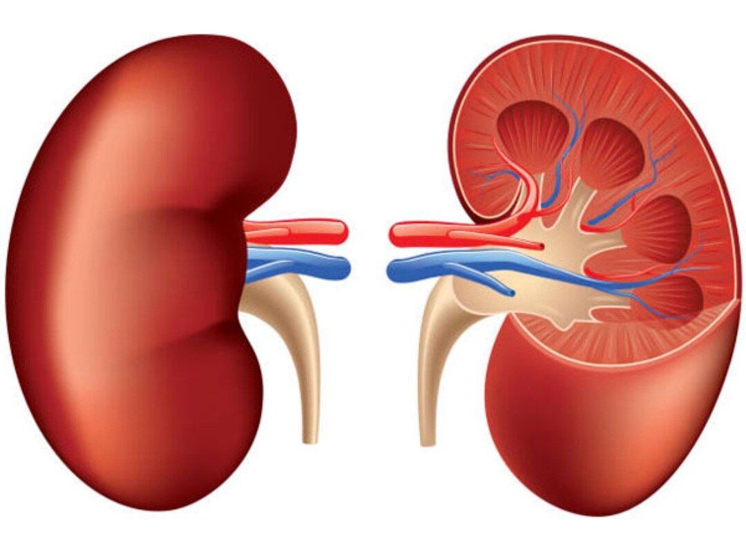 A194➡️selenium urine 