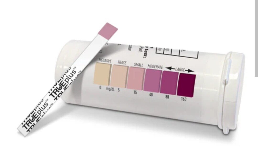 A256➡️Urine Ketone