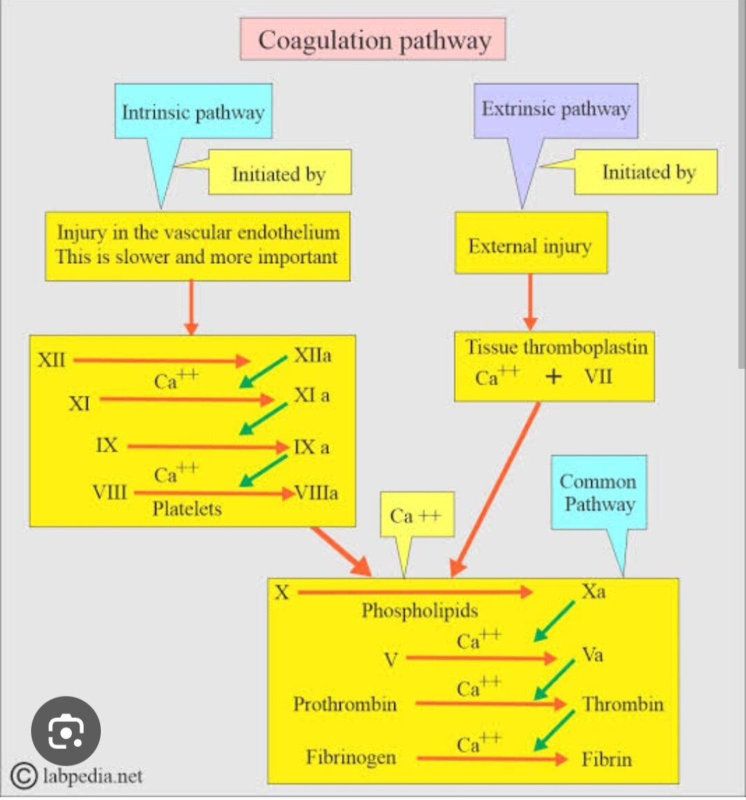 A259➡️APTT/PTTK ) Activated Partial Thromboplastin Time)