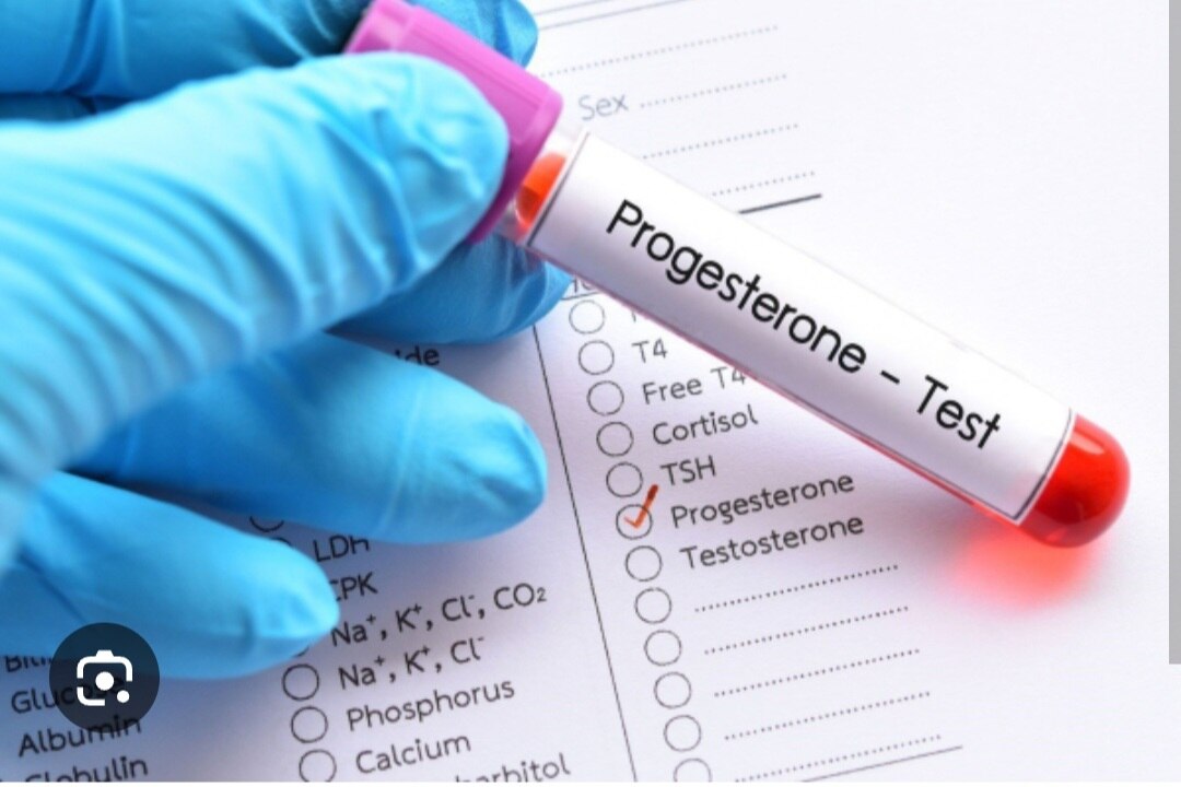 A300➡️progesterone