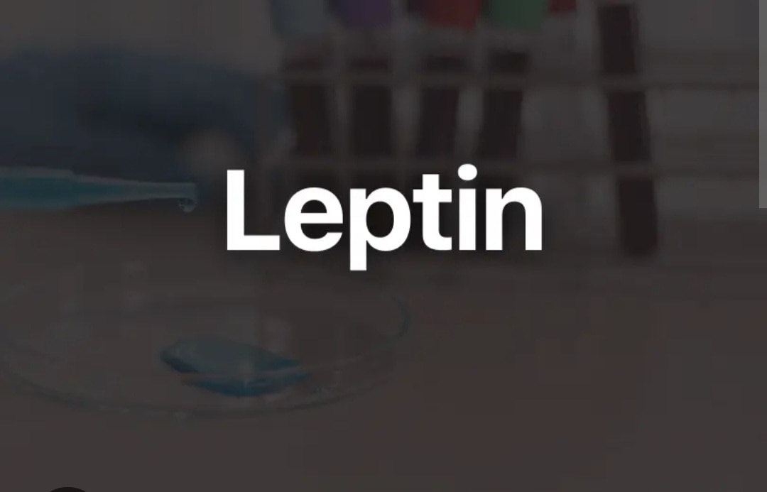 A306➡️Leptin Human, Serum
