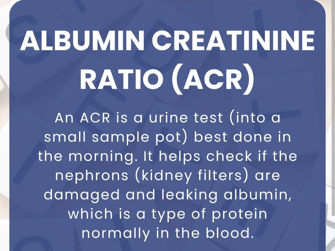 A319➡️Albumin / Creatinine Ratio, Urine