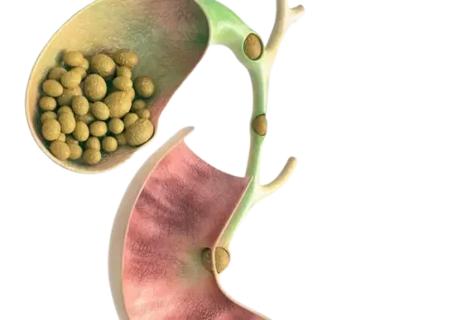 Gallbladder/Gallstone Surgeon in Pune service image