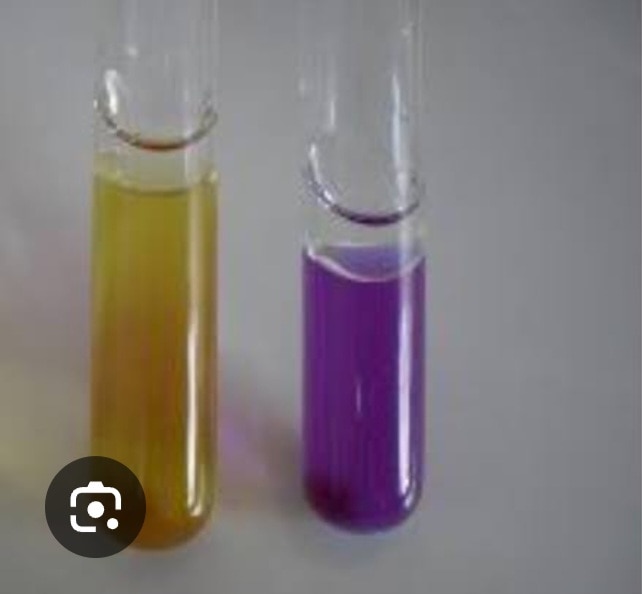 A337➡️Lysine Quantitative, EDTA Plasma