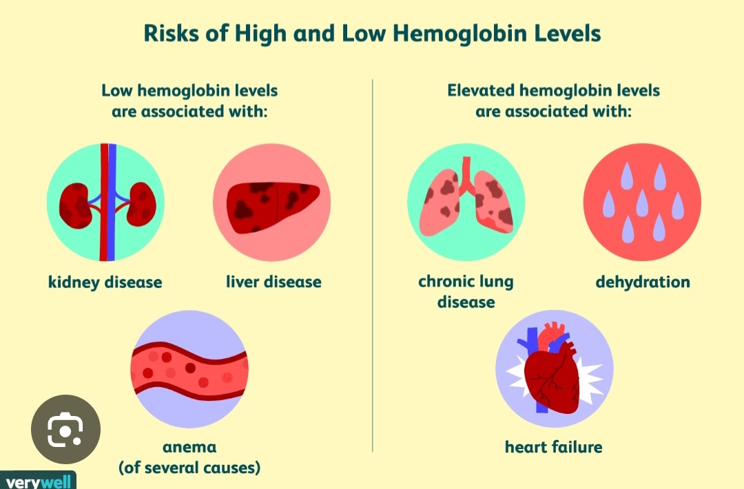 A358➡️Hemoglobin - HB