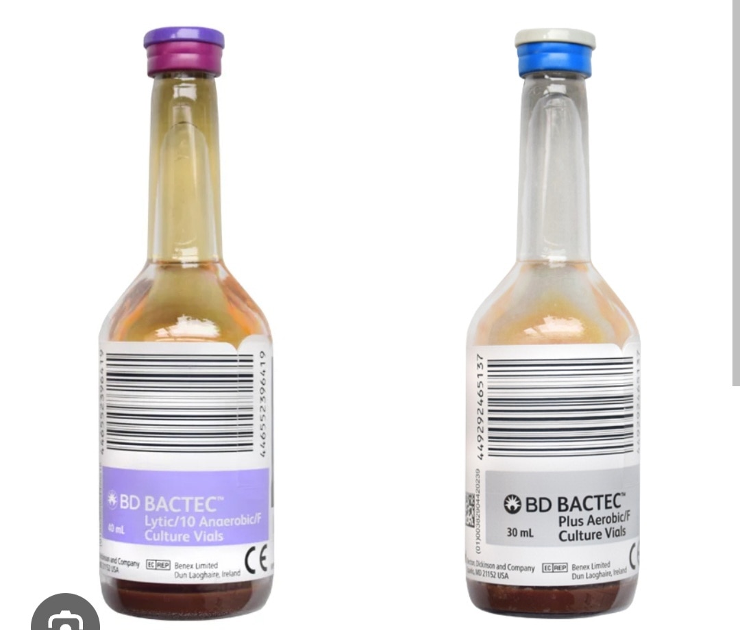 A387➡️Culture & Identification - Anaerobic bacteria, Blood Single bottle