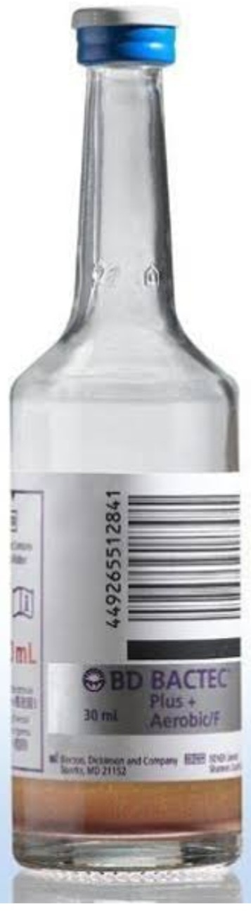 A401➡️Culture & Sensitivity - Aerobic bacteria, Bone Marrow