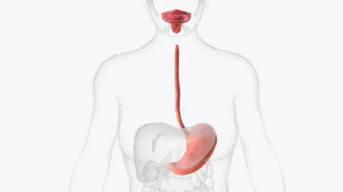 Upper GI Endoscopy service image