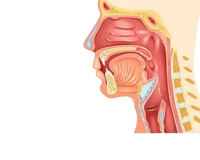 Head and Neck Cancer Surgeon in Mahim,Mumbai service image