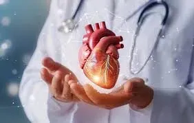 Cardiology service image
