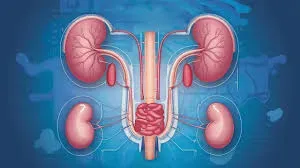 Urology service image